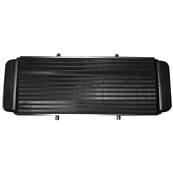 Radiateur pour Rotax 4T